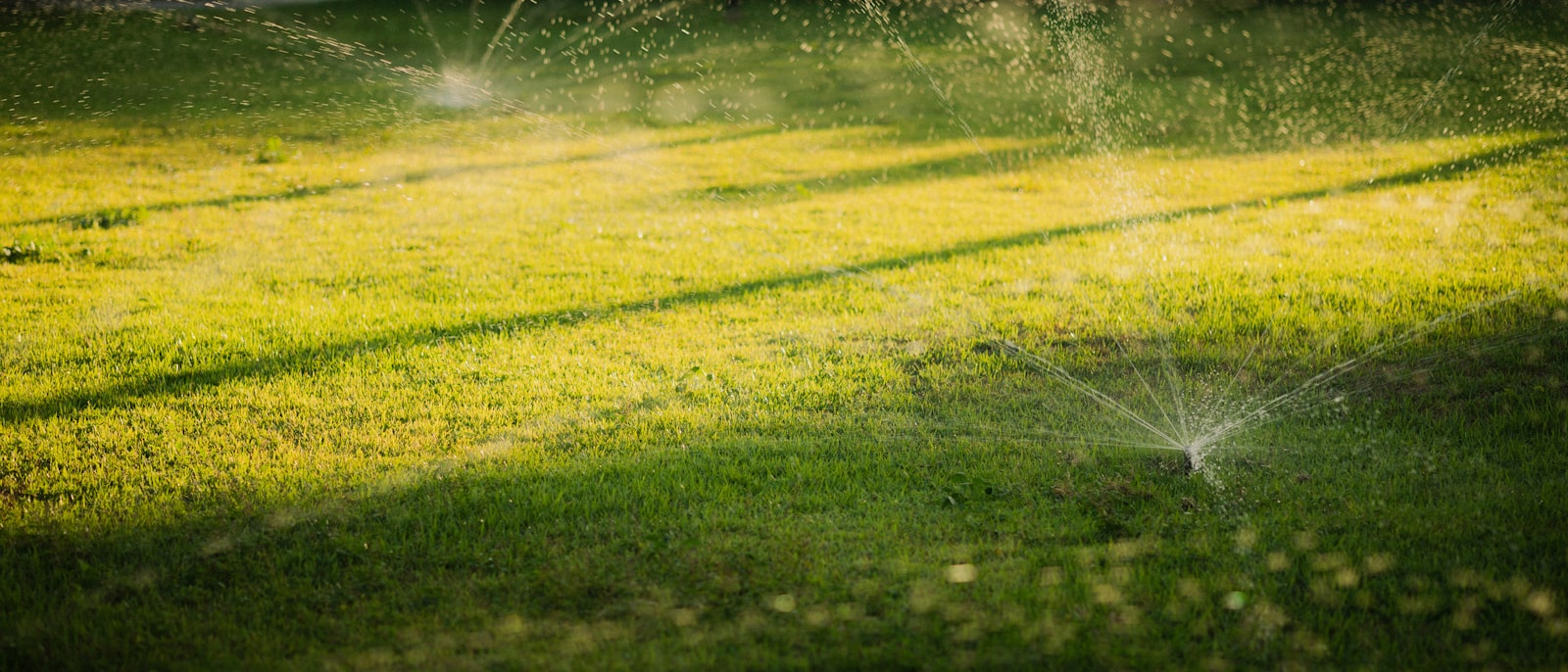 Sprinkler running over a watered lawn at sunset in the East Valley.